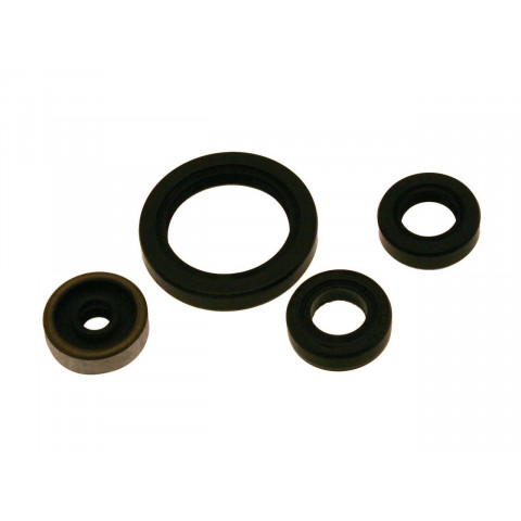 Kit joints spi bas-moteur CENTAURO Sherco SE-R250/300