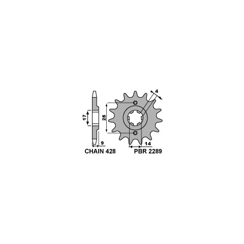 Pignon PBR 13 dents chaine 428 type 2289