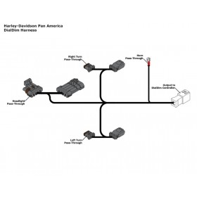 Adaptateur câble DENALI DialDim Plug & Play - Harley Davidson Pan America 1250