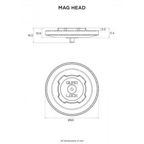 Tête standard QUAD LOCK MAG