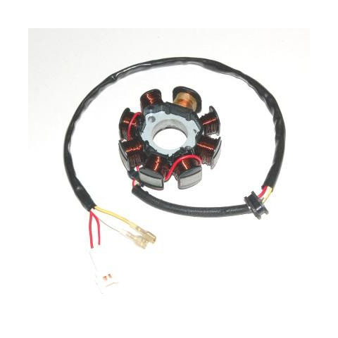 Stator ELECTROSPORT KTM