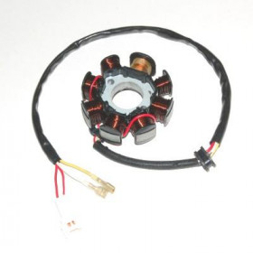 Stator ELECTROSPORT KTM