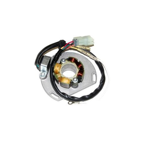 Stator ELECTROSPORT avec bobine d'éclairage KTM SX125/144/150/250