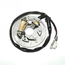 Stator ELECTROSPORT Yamaha WR250Z/YZ250