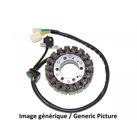 Stator ELECTROSPORT Suzuki GZ250