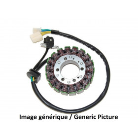 Stator ELECTROSPORT Suzuki GSX650F