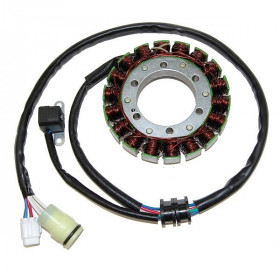 Stator ELECTROSPORT Yamaha YFM 660F Grizzly