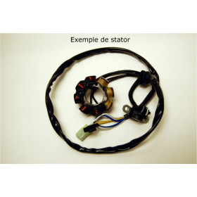 Stator ELECTROSPORT KTM SX65/85/105