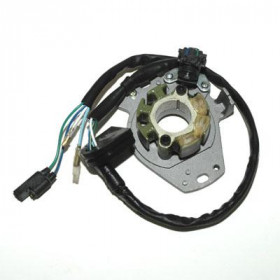 Stator ELECTROSPORT Honda CR250R