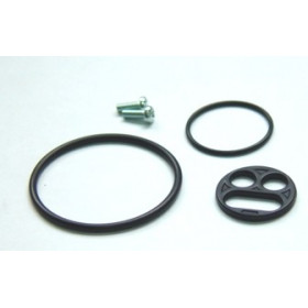 KIT REPARATION DE ROBINET D'ESSENCE POUR RF600R, RF900R