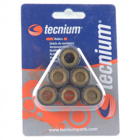 Jeu de galets TECNIUM 16x13mm 9gr - pièces