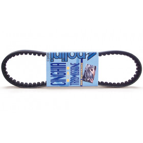 Courroie Polini standard MBK Booster X/Ovetto 4T