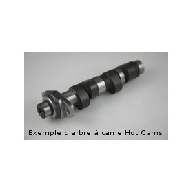 ACT stage 1 Hot cams Yamaha GRIZZLY 700