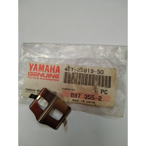 SUPPORT  PLAQUETTE 4GY-25919-50