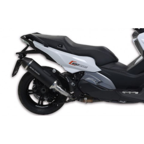 Ligne complète MALOSSI Wild Lion BMW C650 SPORT