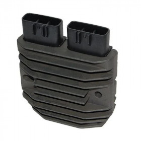 ELECTROSPORT Regulator