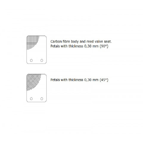 Clapet MALOSSI VL14 pétale carbone 0,30mm 45°