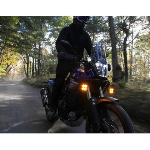 DENALI Cansmart Kit DL4 Amber Lens