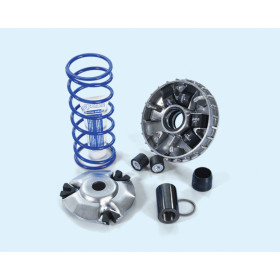 Variateur POLINI Variateur POLINI