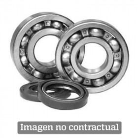 Kit roulements et joints spi de vilebrequin ALL BALLS