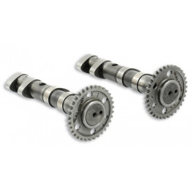 Arbre a cames MALOSSI Double Power - Yamaha T-Max 530