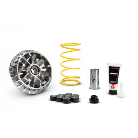 Variateur MALOSSI Multivar 2000