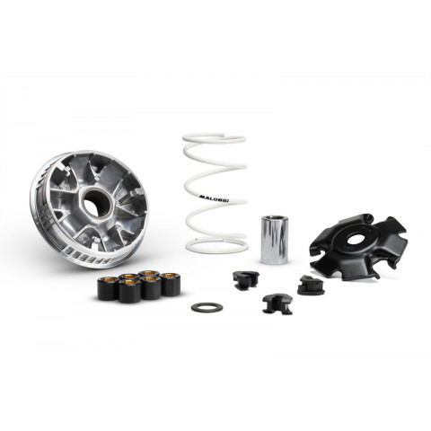 Variateur MALOSSI Multivar 2000