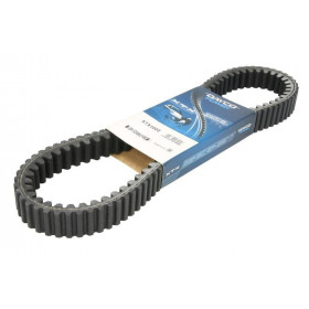 Courroie dentée intérieur et extérieur DAYCO Renforcé