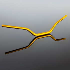 Guidon RENTHAL Fatbar 609 RC High