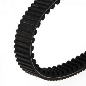 Courroie dentée intérieur et extérieur TECNIUM HP+