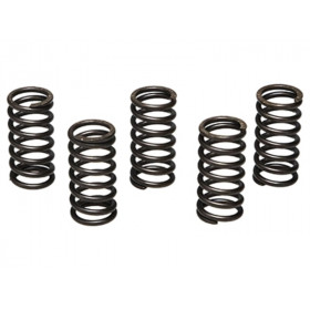 Kit disques garnis + lisses d'embrayage PROX