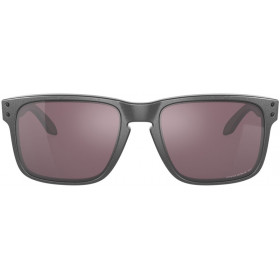 Lunettes de soleil OAKLEY Holbrook Polarized Steel - verres Prizm Daily Polarized