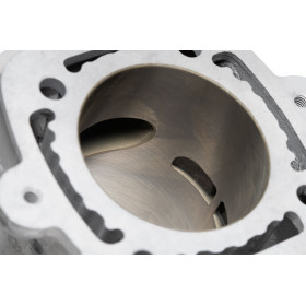 Kit cylindre MALOSSI H2O Ø65mm 172,5CC
