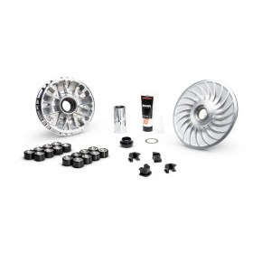 Variateur MALOSSI Multivar