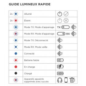 AUX-Bluetooth-Adapter QUAD LOCK