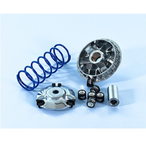 Variateur POLINI