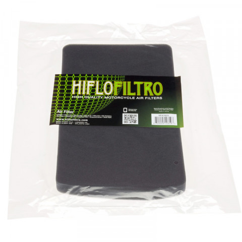 Filtre à air HIFLOFILTRO HFA7603 BMW F650ST/Funduro