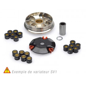 Variateur TOP RACING S1V pour PEUGEOT Ludix, Trekker