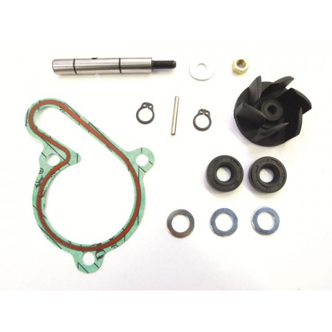 Kit réparation pompe à eau Top Performances Derbi à moteur Piaggio Euro 3