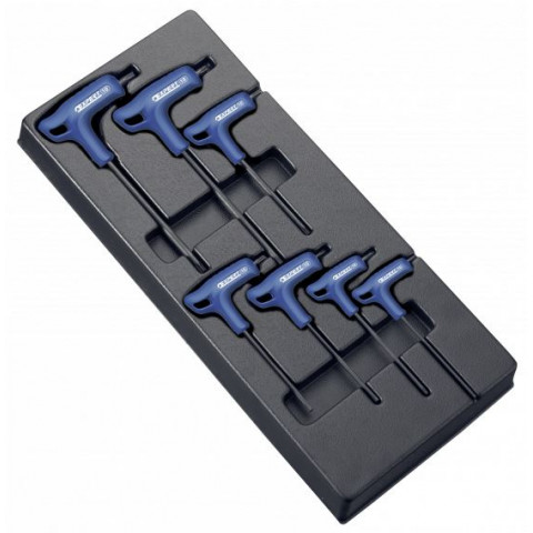 Module d'outils EXPERT 7 clés males Torx en T - plateau plastique