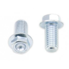 Kit vis + rondelles M6X1X20mm Bolt par 10