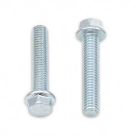 Vis à bride BOLT tête hexagonale 8mm M6x1,00x30mm 