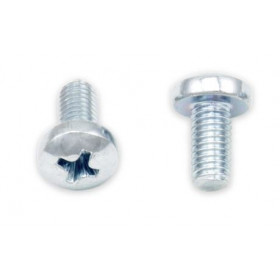 Vis tête bombée BOLT empreinte Philips M5x0,8x10mm 