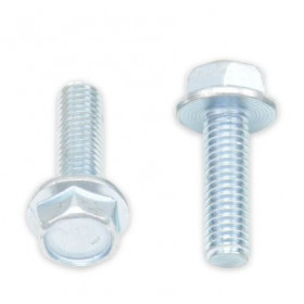 Vis à bride BOLT tête hexagonale 10mm M6x1,00x20mm 