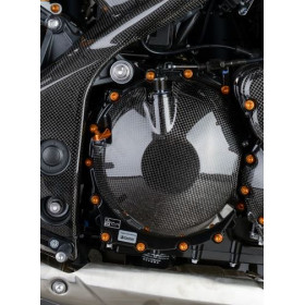 Carter moteur latéral LIGHTECH carbone brillant Triumph Speed Triple 1050