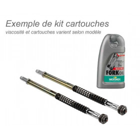 Kit cartouches de fourche BITUBO avec huile de fourche MOTOREX Kawasaki ZX6RR