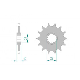 Pignon AFAM 12 dents acier anti-boue type 94313 pas 520 GAS-GAS  EC 300