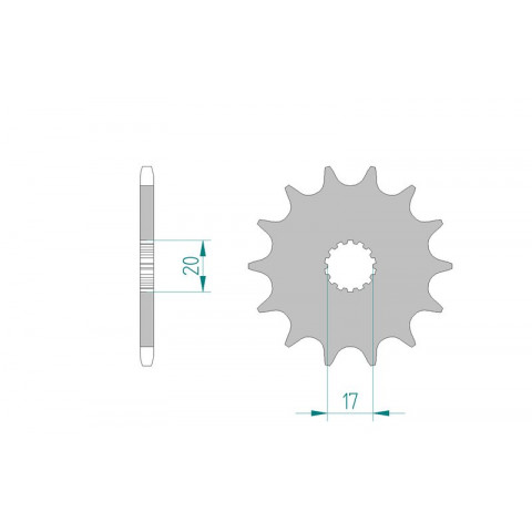 Pignon AFAM 13 dents acier anti-boue type 21203 pas 520 GAS-GAS EC 125