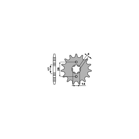Pignon PBR 13 dents acier type 2118 pas 428 